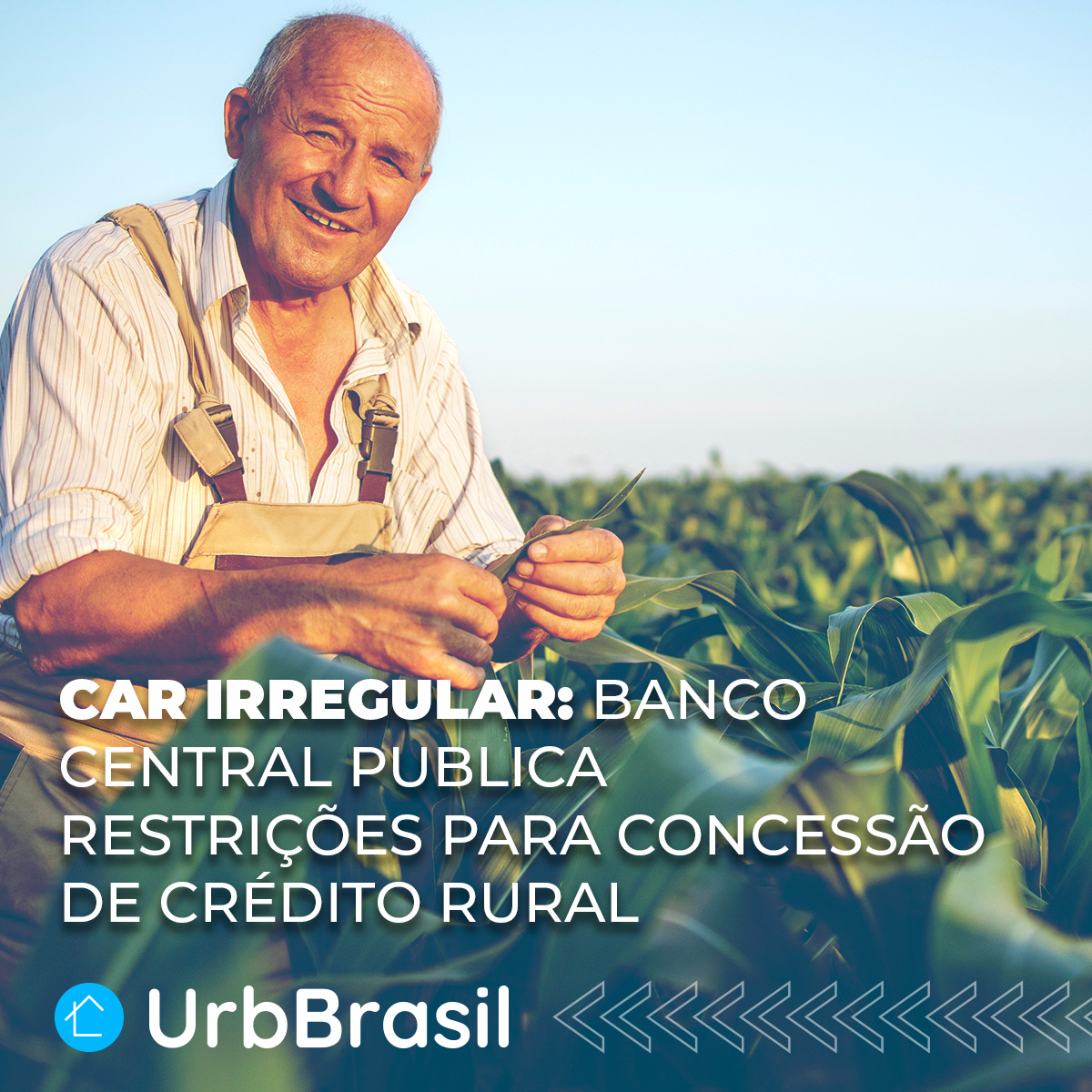 CAR irregular: Banco Central publica restrições para concessão de crédito rural